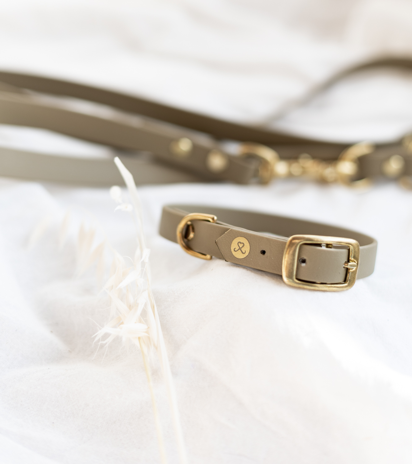 unempfindliche-leine-halsband-personalisiert