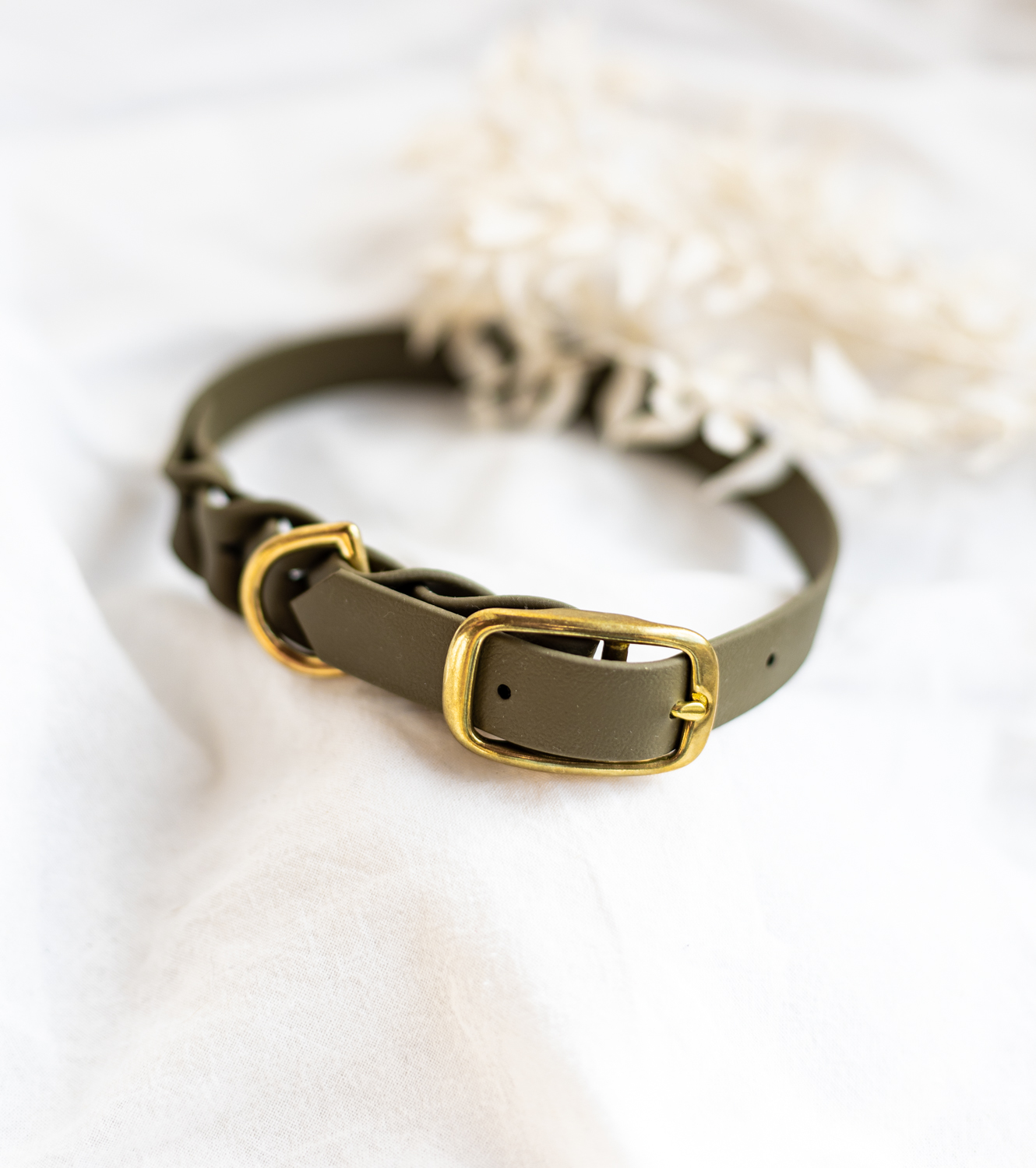 detail-goldene-schnalle-hundehalsband