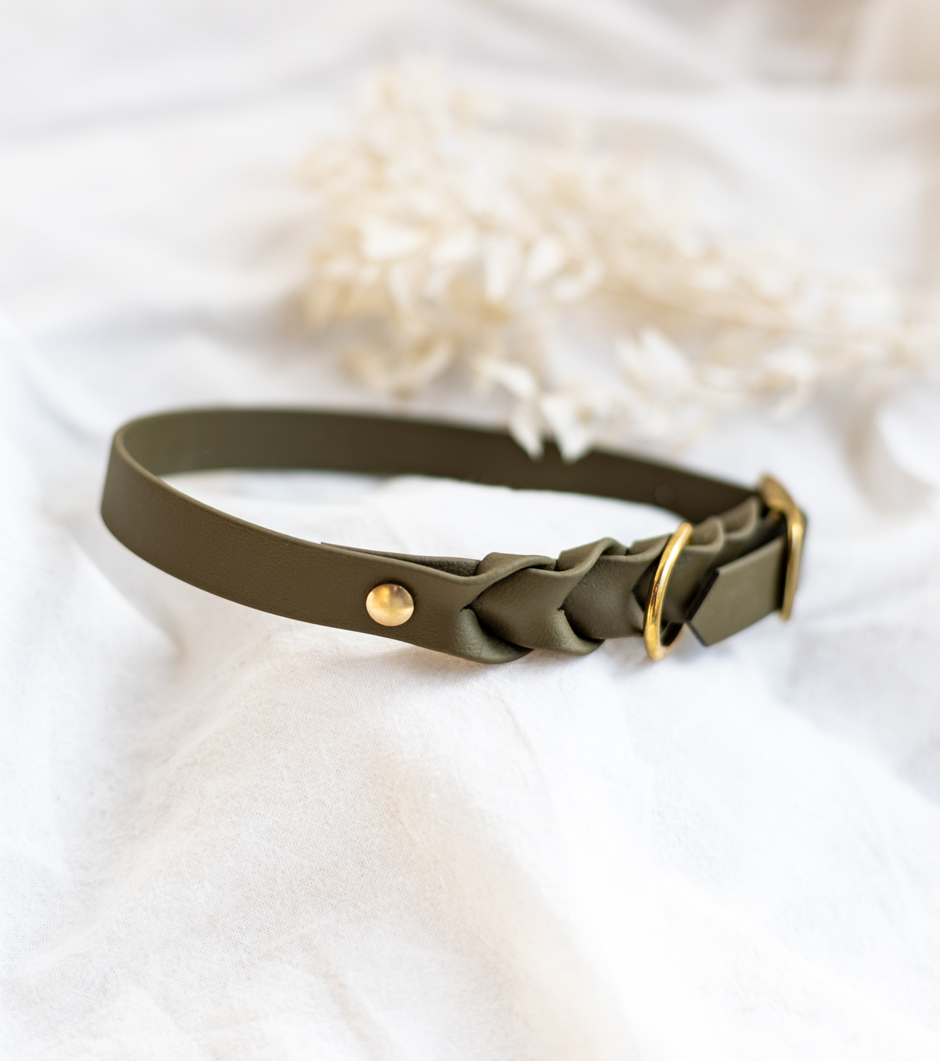 messing-gold-halsband-hund